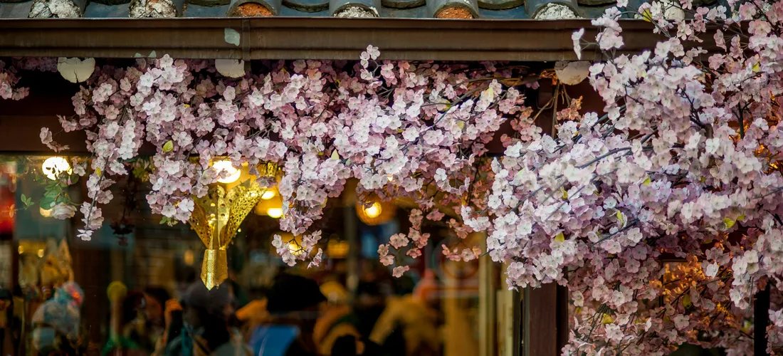 What Nobody Tells You About the GKS Application