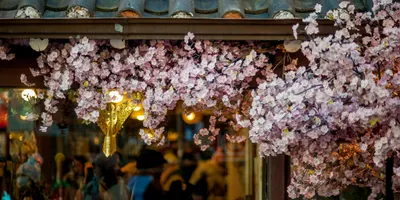 What Nobody Tells You About the GKS Application