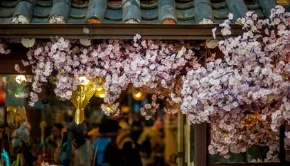 What Nobody Tells You About the GKS Application