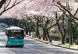 How I Actually Study Korean (And the Music That Helps)