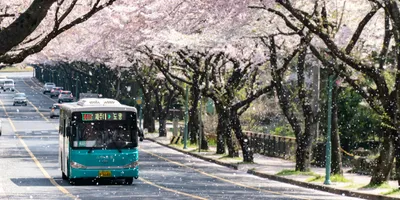 How I Actually Study Korean (And the Music That Helps)