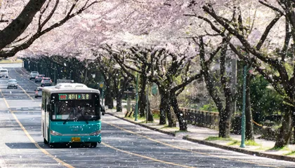 How I Actually Study Korean (And the Music That Helps)